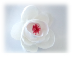 20260304-2.jpg.png