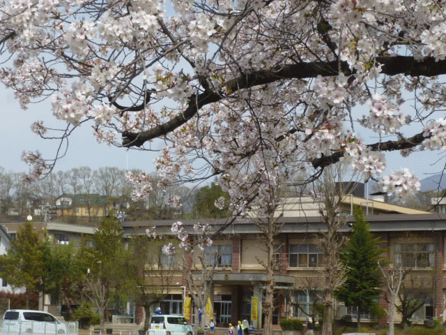 無題.gif