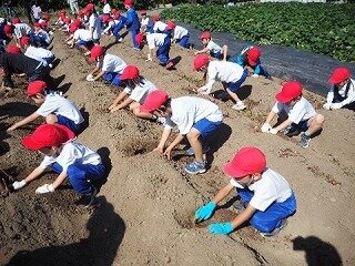 画像1.jpg
