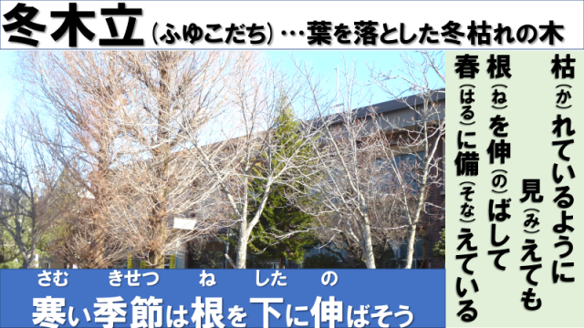 冬木立.png