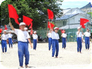 6nen -22026-05-29 101642.png