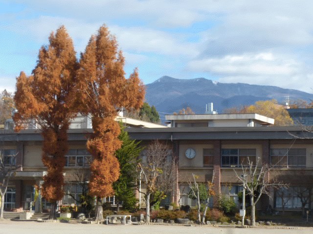無題new.gif