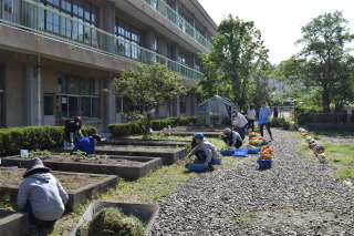 20180518PTAsagyou001.JPG