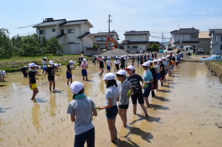 20190527taue5nen001.JPG