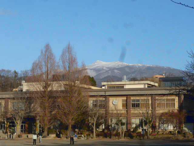 20240116.gif