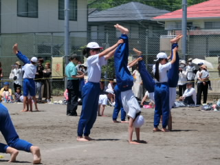 CIMG2455.jpg