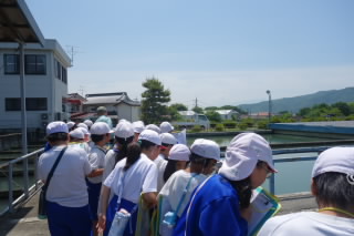 DSC09046.jpg