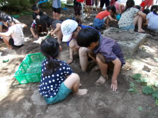 DSCN0571.jpg