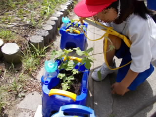 DSCN0714.JPG