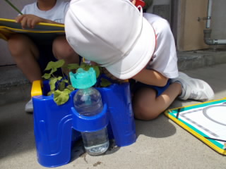 DSCN0715.JPG
