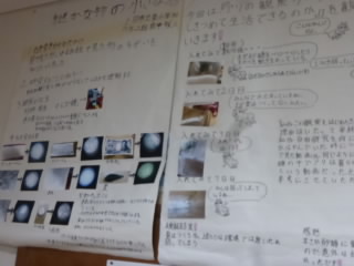 P1130421.jpg