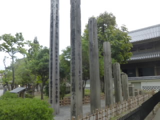 P1140042.jpg
