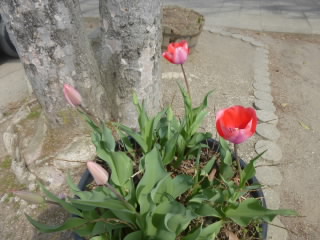P1170794.jpg