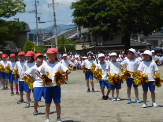 P1190008.jpg