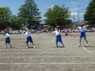 P1190027.jpg