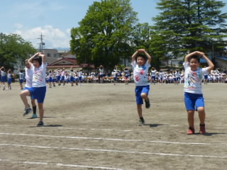 P1190069.jpg