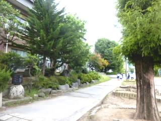 P1210417.jpg