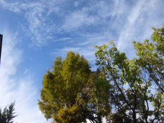 P1220789.jpg
