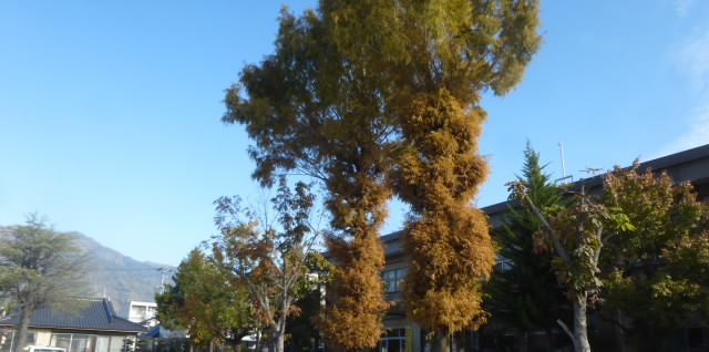 P1230159.jpg