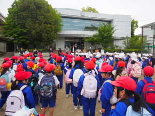 P5010001.jpg