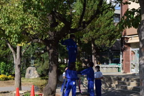sport_fes_decoration_preparation11.jpg