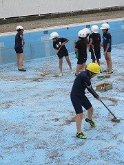 IMG_3247.jpg