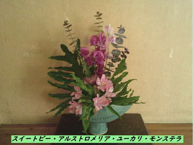 20250203top.gif