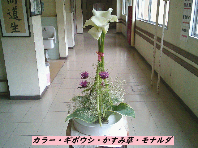 20250616top.gif