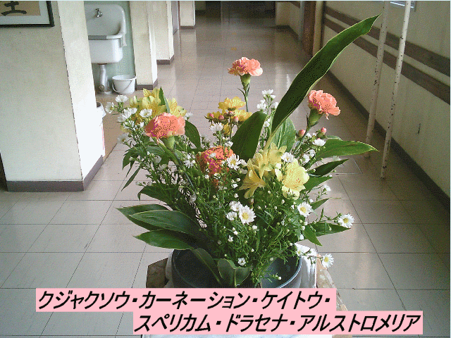 20251027top.gif