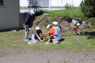 20260722-6-1.jpg