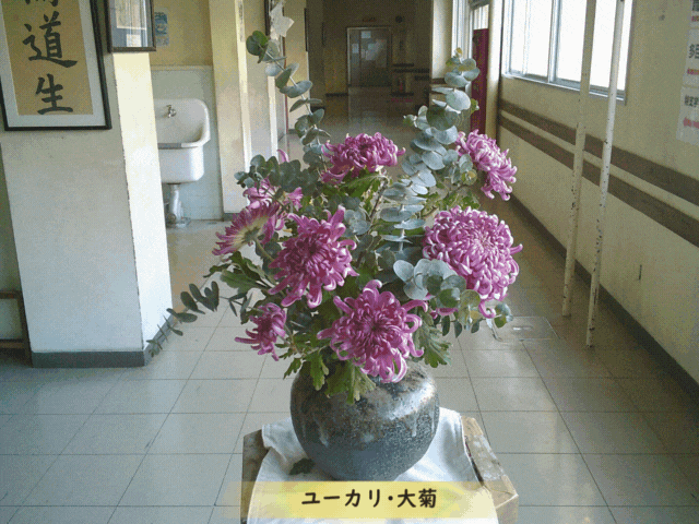 ホームページTOP用 (640 x 480 px).gif