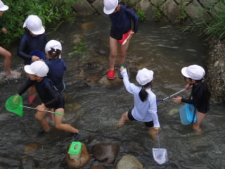 DSC08407.JPG