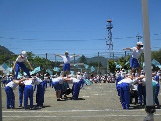 IMG_3245.jpg