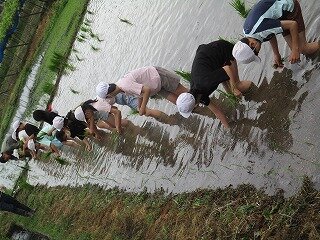 IMG_3274.jpg