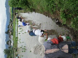 IMG_3275.jpg
