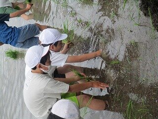IMG_3278.jpg