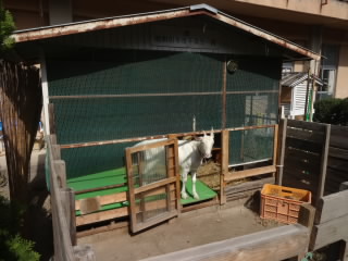 DSC00931.JPG