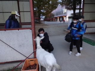 DSC01097.JPG