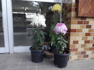 DSC07429.JPG