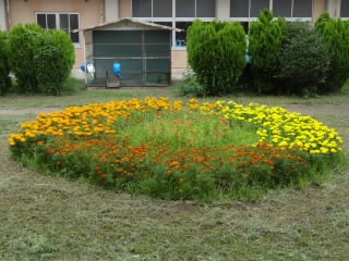 DSC08528.JPG