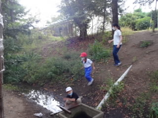 DSC08758.JPG