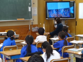 DSC09854.JPG