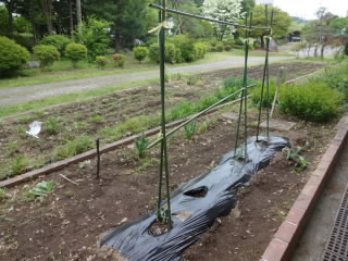 DSC09859.JPG