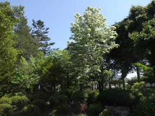 DSC09876.JPG