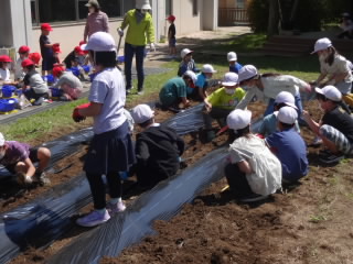 DSC09915.JPG