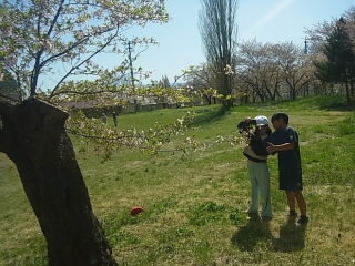 20250502sakura001.jpg