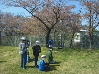 20250502sakura002.jpg