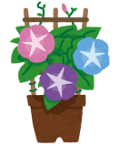 20250515tane001.png