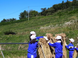 20251008dakkoku001.JPG