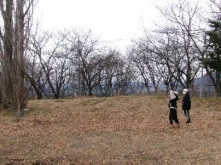 20260109fuyu001.jpg